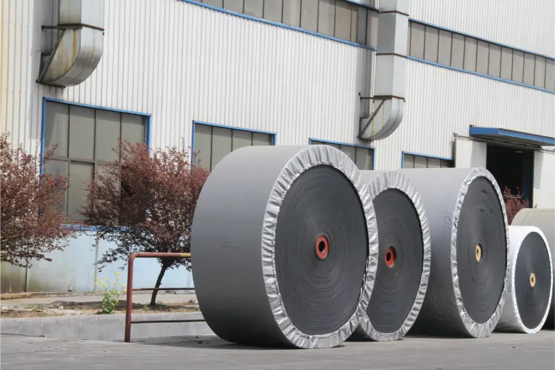 Zer da Heavy Duty Zinta Garraiatzailea?